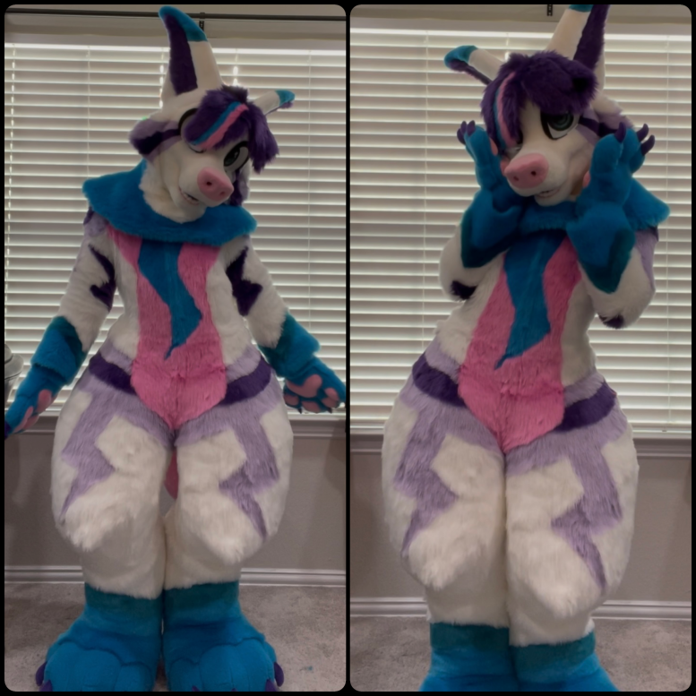 Full fursuit 6
