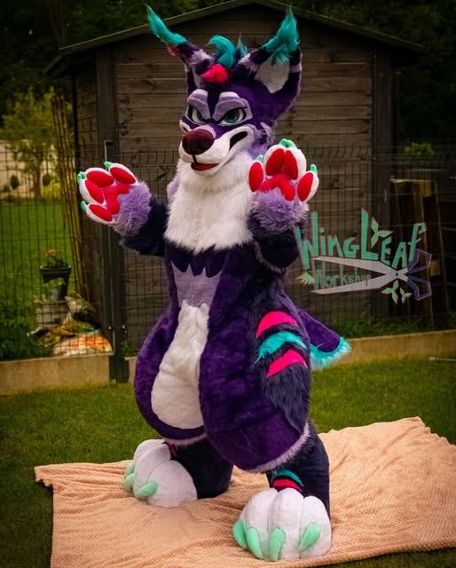Full fursuit 4